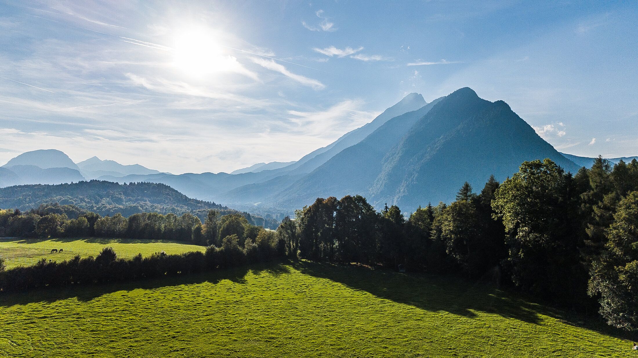 economy double room | view from room