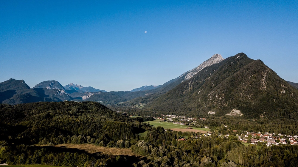 Steinerwirt by null
