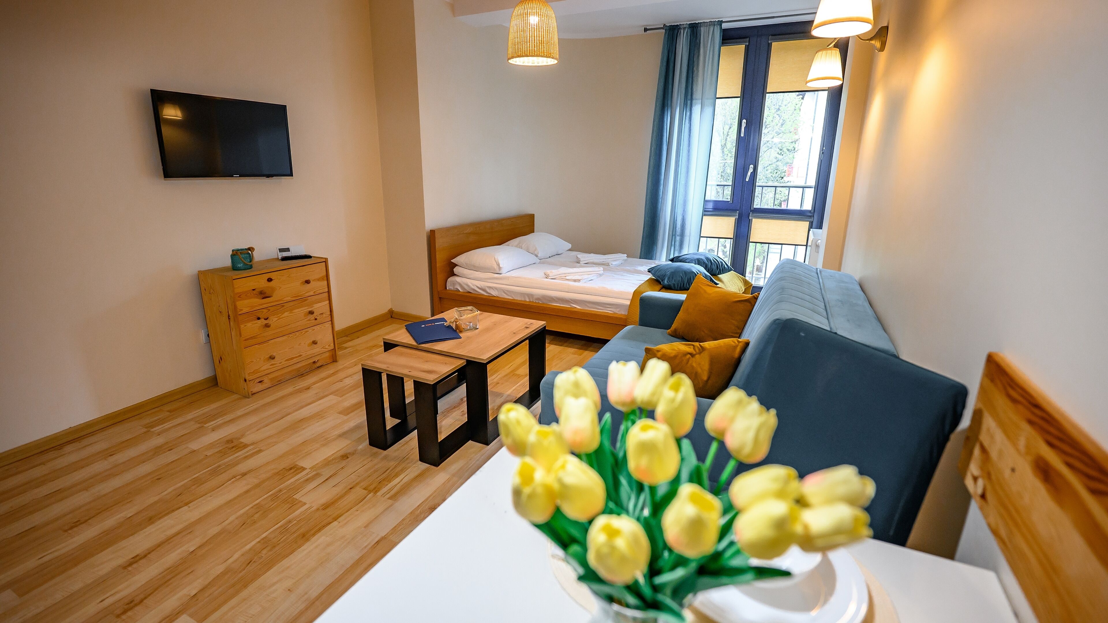 Studio (32A) | Living area | 30-inch flat-screen TV with cable channels, TV, DVD player
