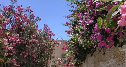 SWANARA Agadir baie de taghazout