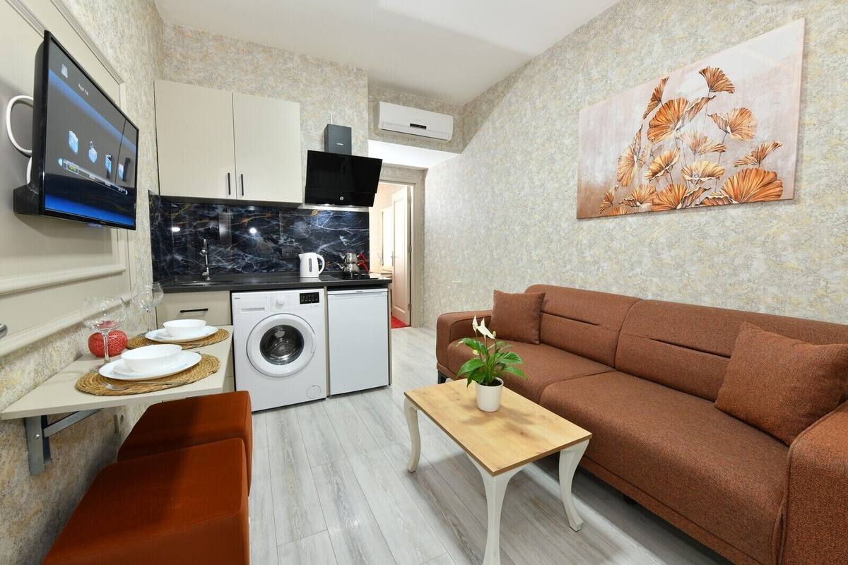 Un espacio habitable compacto con sofá, una mesita con una planta, lavadora, televisor y zona de cocina con armarios y encimera.