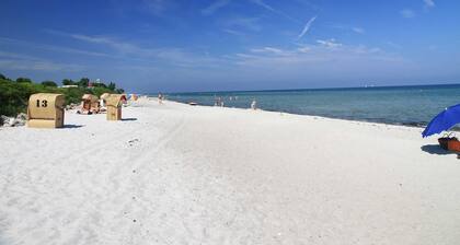 Ferienwohnung Alte Meierei 1899