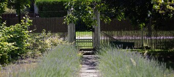 Part Rooms、自然の美しさ、レイクビュー