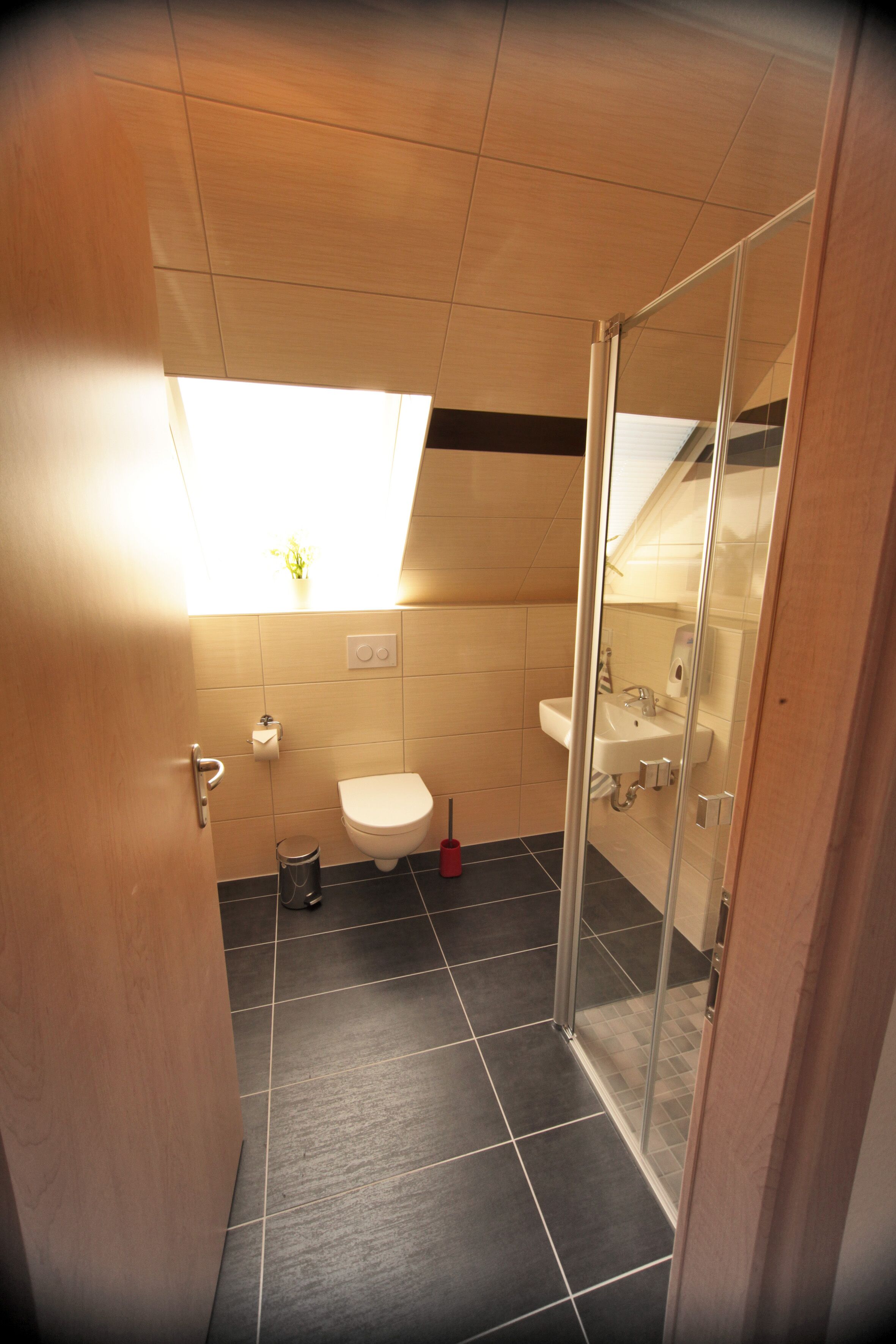 A modern bathroom with a shower, toilet, and sink.