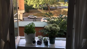 Una ventana con vista a una calle, un edificio y varias macetas en el alféizar.