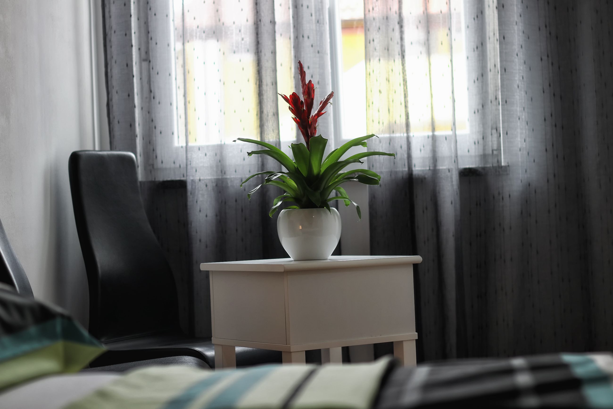 A small white bedside table with a potted plant in a white pot.