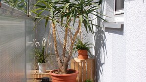 En potteplanteopsætning på en fliseterrasse med et vindue og en dør.