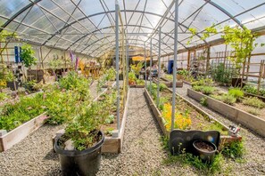 Explore a lush oasis with raised garden beds and a tranquil seating area.