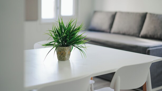 A modern living room with a white sofa, a white table, and a potted plant. - Gente del Sur - Gobernador Paz (Ushuaia)