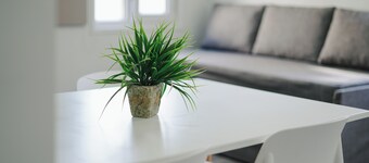 Gente del Sur - Gobernador Paz