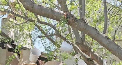 Tuscana Villa Guesthouse