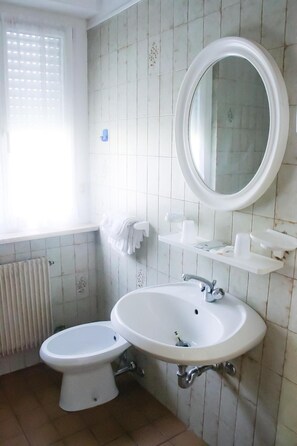 Shower, hair dryer, bidet, towels - Hotel Dolomiti Levico (Levico Terme)