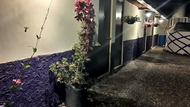 A narrow corridor with a gravel path, a hanging plant, and a door at the end. - Cabaña Miroji (Zacatlán)