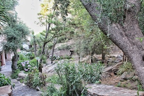 Property grounds - Porto Rotondo Garden Flats (Olbia)