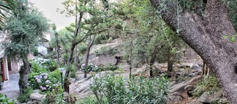 Porto Rotondo Garden Flats