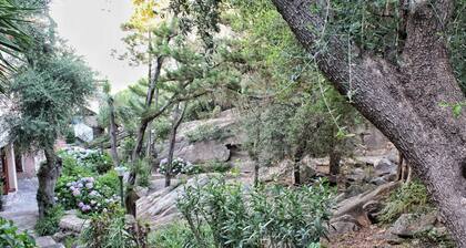 Porto Rotondo Garden Flats