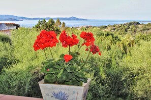 A potted lavender plant with red flowers in a garden setting with a view of the sea and hills in the background. - Porto Rotondo Garden Flats (Olbia)