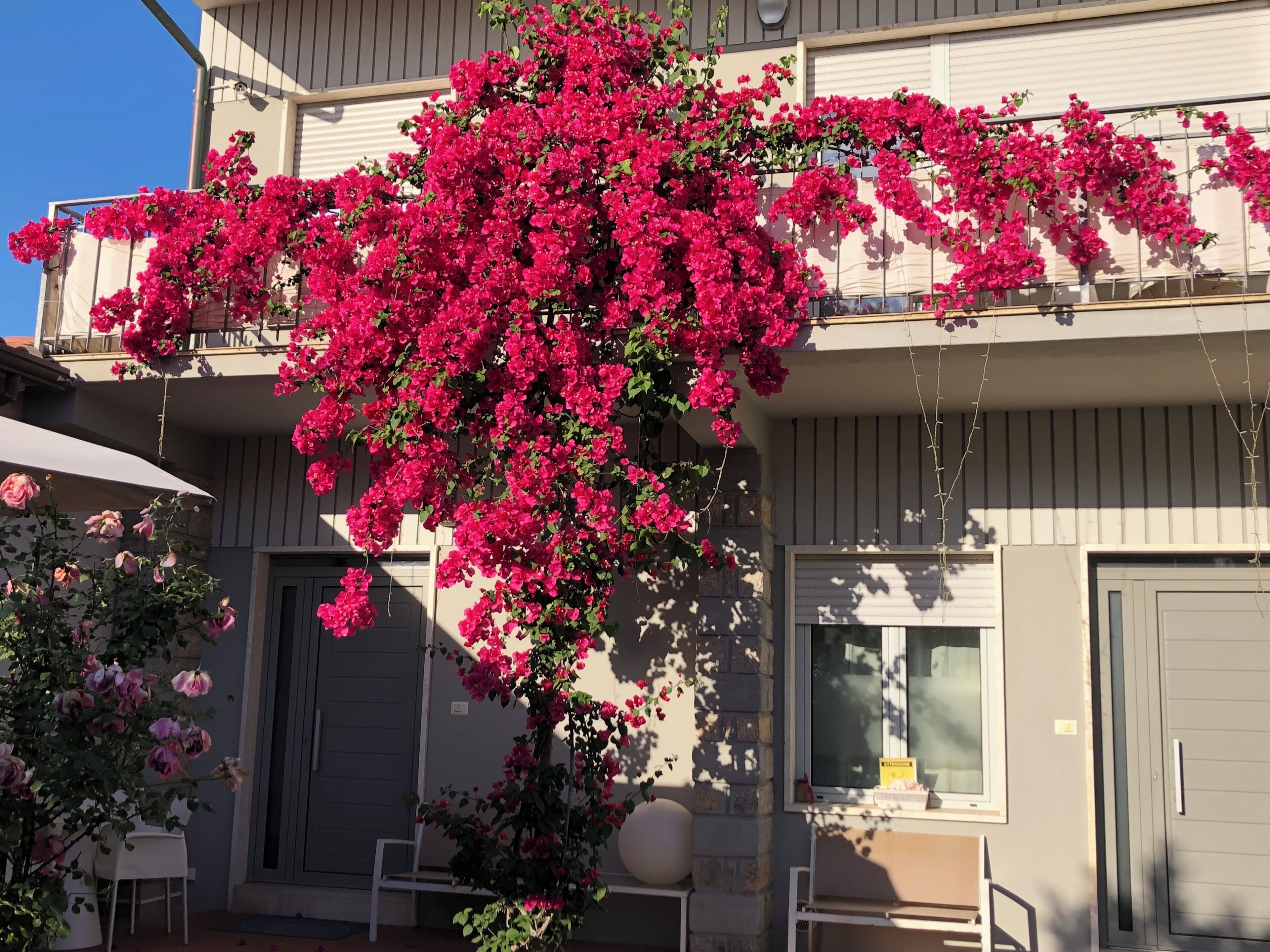 Foto - City Garden Guest House
