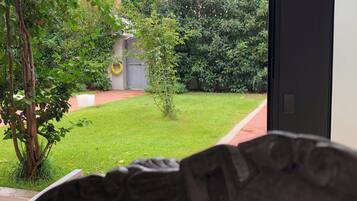 A view through a window of a room with a door, a small garden with grass and trees, and a building in the background.