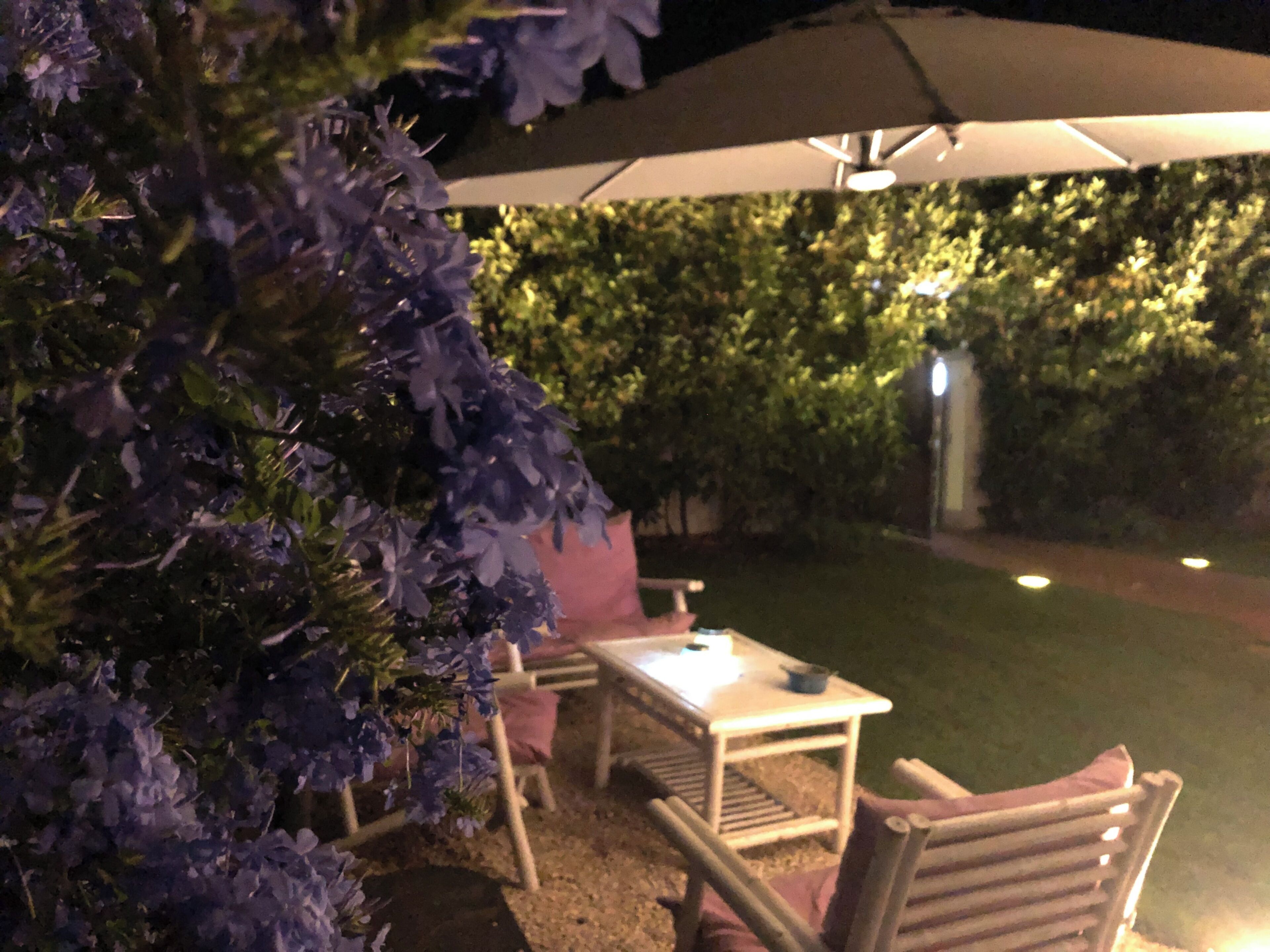 Foto - City Garden Guest House