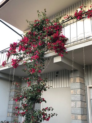 A building with a balcony covered in red flowers, stone walls, and a metal railing. - City Garden Guest House (Olbia)