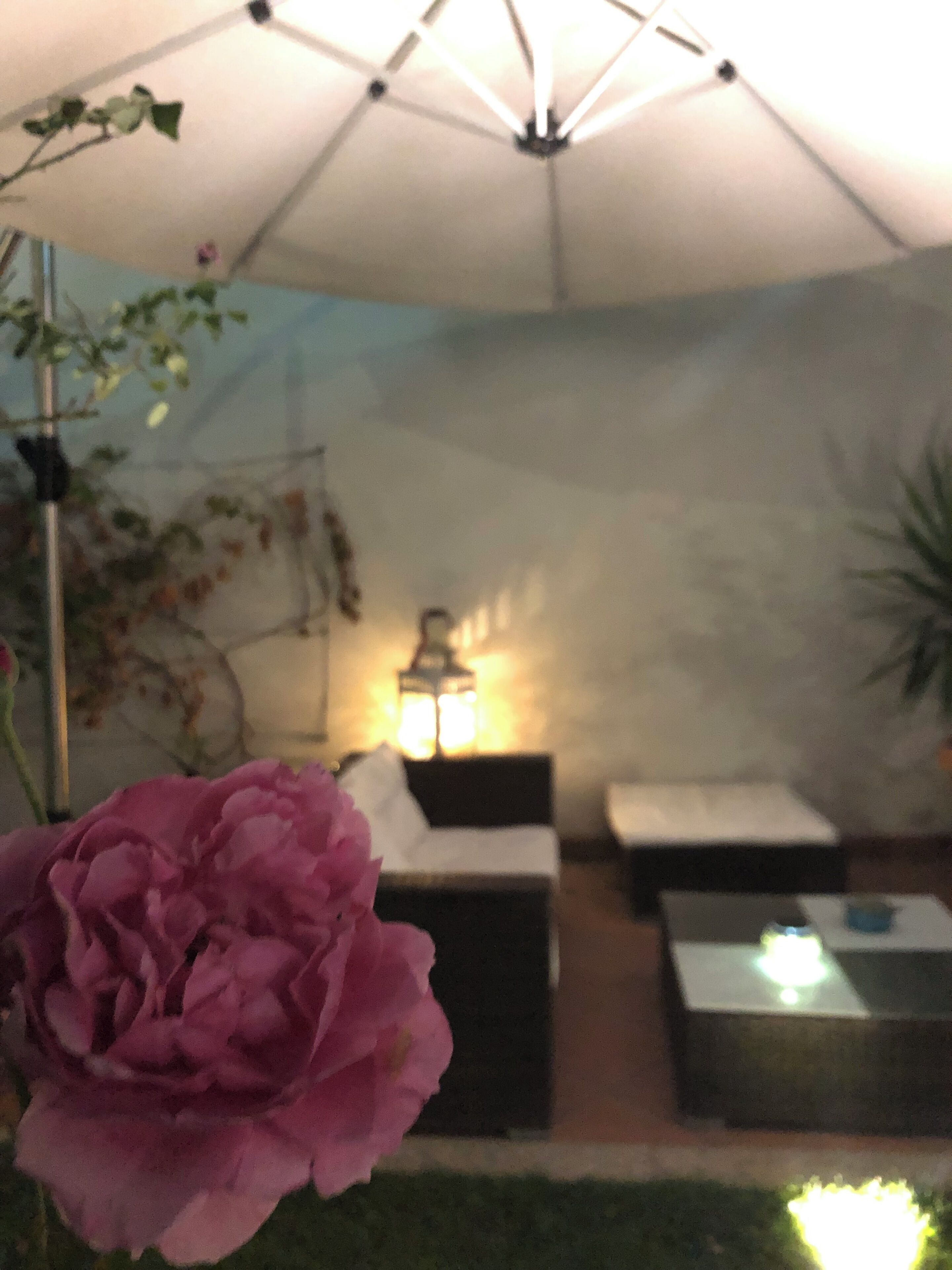 Foto - City Garden Guest House