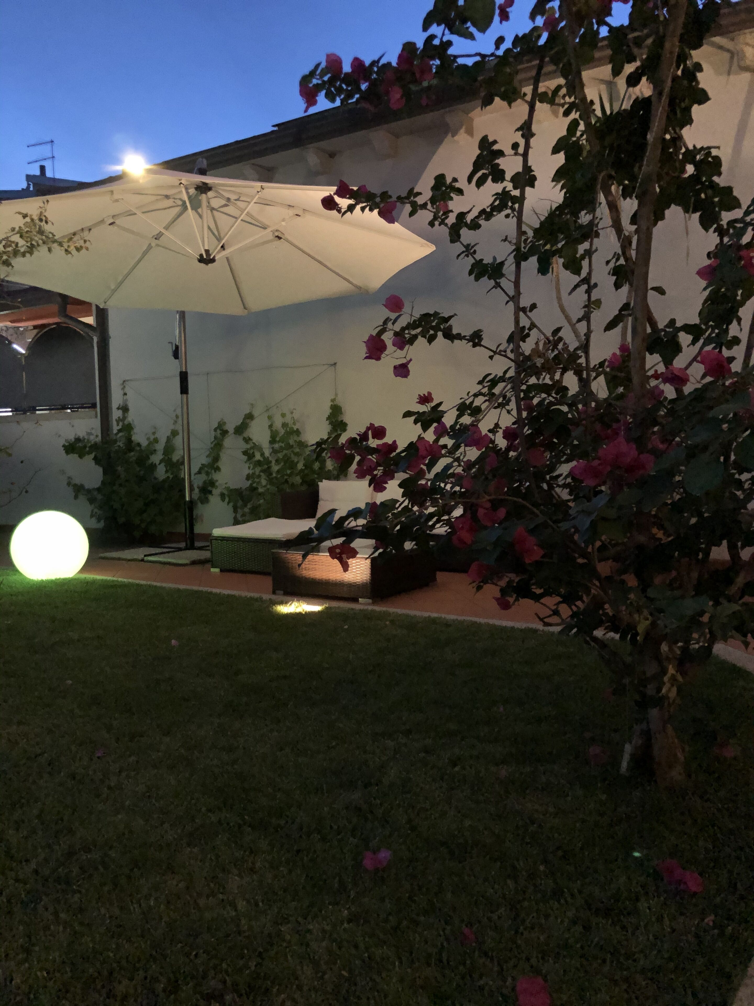 Un patio con un gran paraguas, una mesa redonda y una silla. Se observa un pequeño jardín con un árbol y algunas flores.
