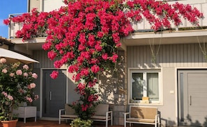 Fachada da propriedade