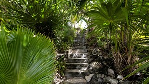 Una escalera de piedra rodeada de abundante follaje verde.