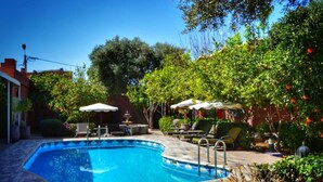Una piscina rectangular con borde de azulejos, rodeada por una terraza con sillas de descanso y sombrillas.