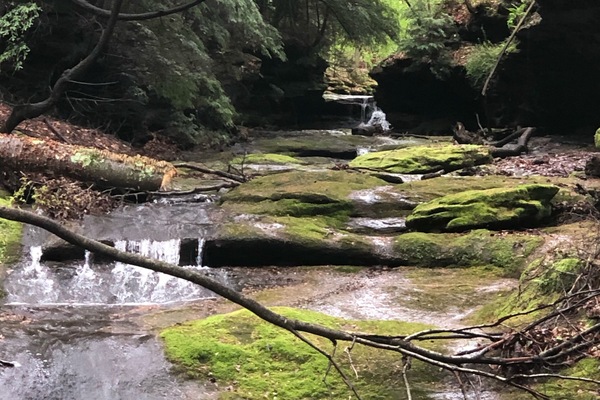 Àrea exterior de l'allotjament