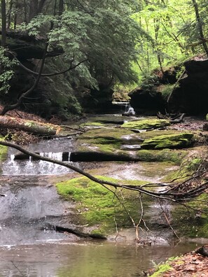 A forest stream with moss-covered rocks and a waterfall. - Kid friendly secluded Cabin w/ Incredible views and stocked fishing pond. (Logan)