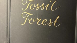A door with the number 8 and the words "Tossil Forest" in gold lettering. - Castle Inn (Wareham)