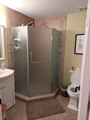 Combined shower/bathtub, towels, soap, toilet paper - Amani Na Cheza!  - Your Peaceful and Fun Getaway Home (New Buffalo)