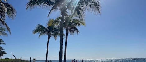 Playa en los alrededores, camastros y toallas de playa