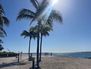 A beach with palm trees, a sandy shore, and a clear blue sky.