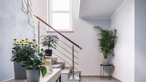 Una escalera moderna con barandilla de madera, una pequeña mesa con plantas en macetas, y una planta en maceta sobre una mesita auxiliar.