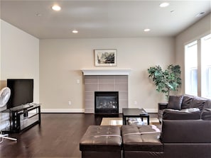 TV, fireplace, books