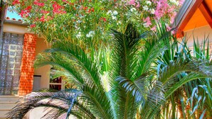 Ein Garten mit verschiedenen Pflanzen und Blumen, eine Steinmauer und ein Gebäude mit Fliesenboden und Holzboden.