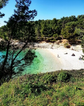 A beach with clear turquoise water, surrounded by dense green trees and rocky terrain. - Apartments Petra Near Beach (Pula)