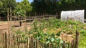 Een tuin met een houten omheining en een overdekte constructie.