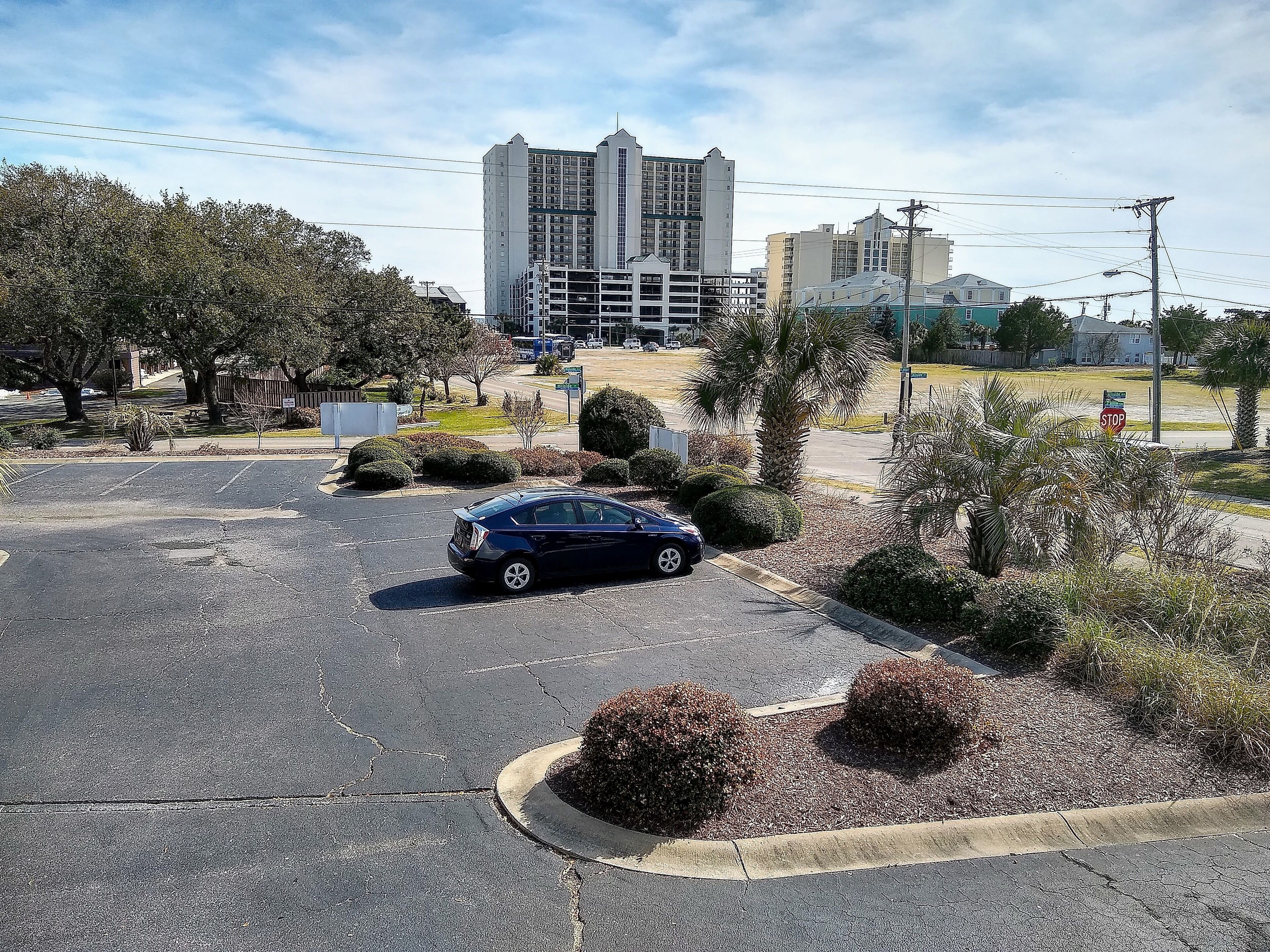 A parking lot with a blue car, surrounded by landscaped bushes and palm trees, with buildings in the background.