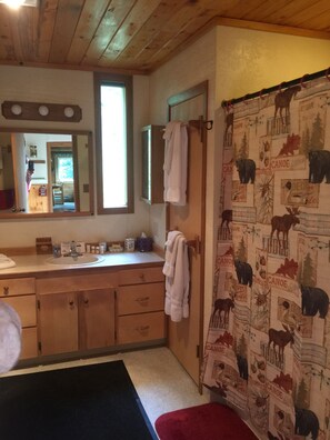 シャワー、ヘアドライヤー、タオル、石鹸