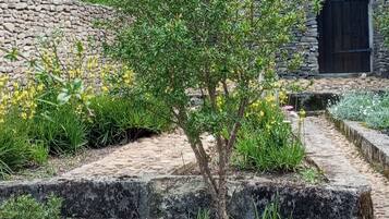 Un edificio de piedra con puerta de madera, rodeado de vegetación y un camino adoquinado.