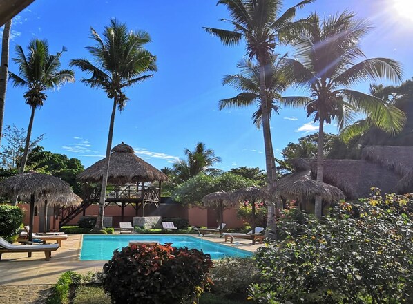 Outdoor pool, pool umbrellas, pool loungers