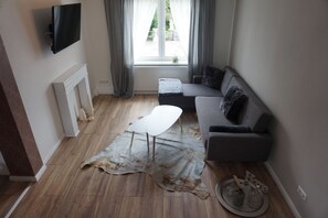 تلفزيون بشاشة مسطحة، كُتُب