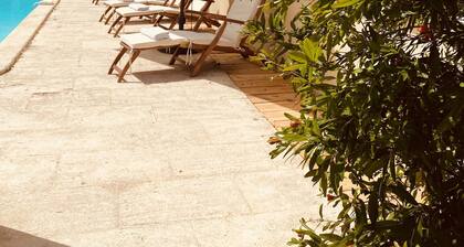 Grande et belle villa provençale entre Uzès, Nîmes et Avignon « dogfriendly »