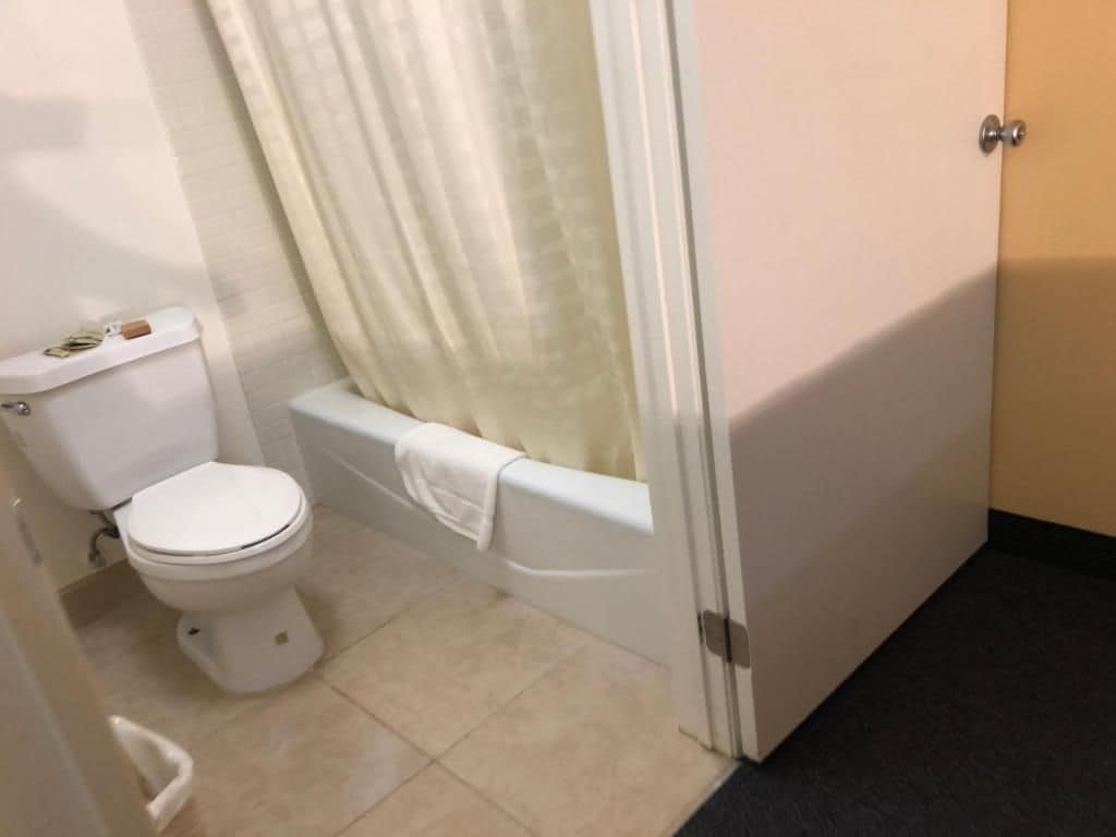 A bathroom with a toilet, bathtub, and shower curtain.
