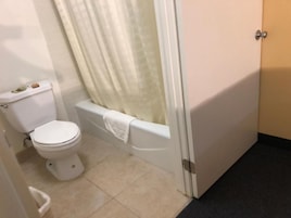 A bathroom with a toilet, bathtub, and shower curtain.
