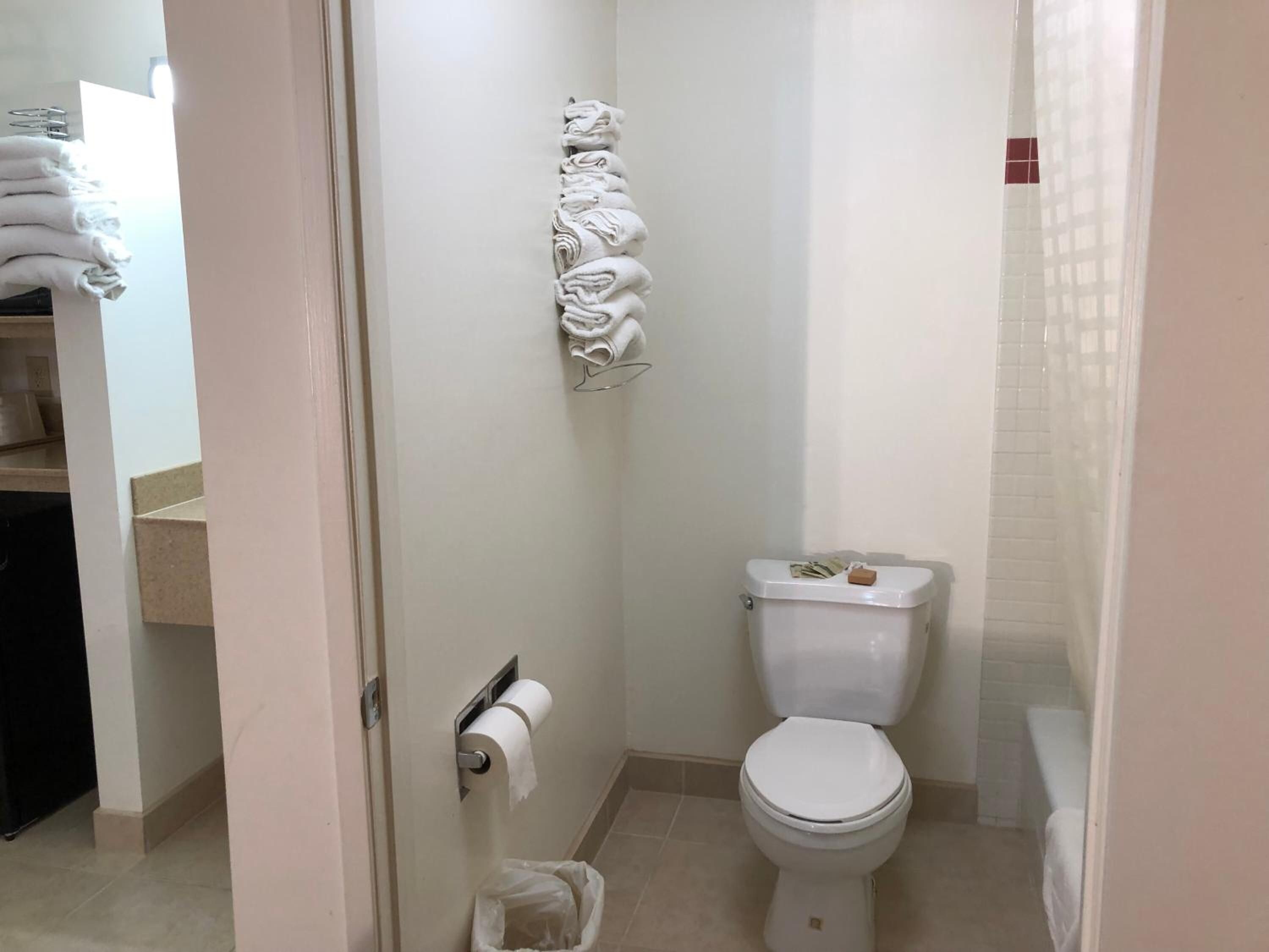 Un baño con inodoro, toallero y cubo de basura.